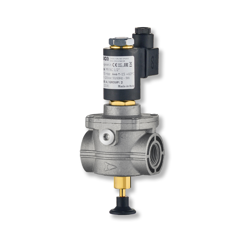 Instructions GAS GAS EV Aluminium