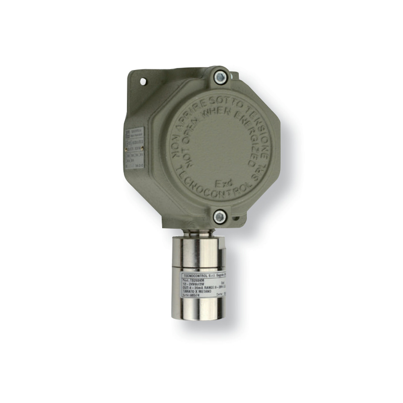 InstructionSE193K Catalytic sensor with explosion-proof case